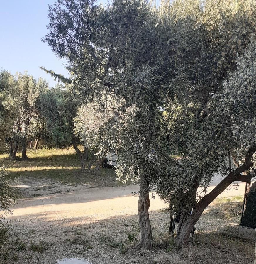 Mas Vincent Apartman La Fare-les-Oliviers Kültér fotó